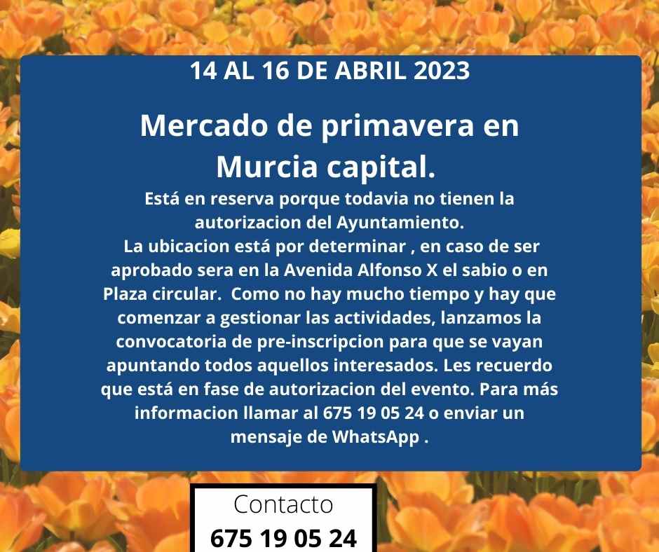 Mercado de primavera en Murcia capital ( reserva )
